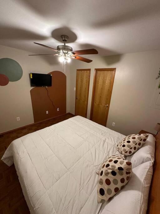 Mcallen 4Br With Pool, Shopping & More Eksteriør billede