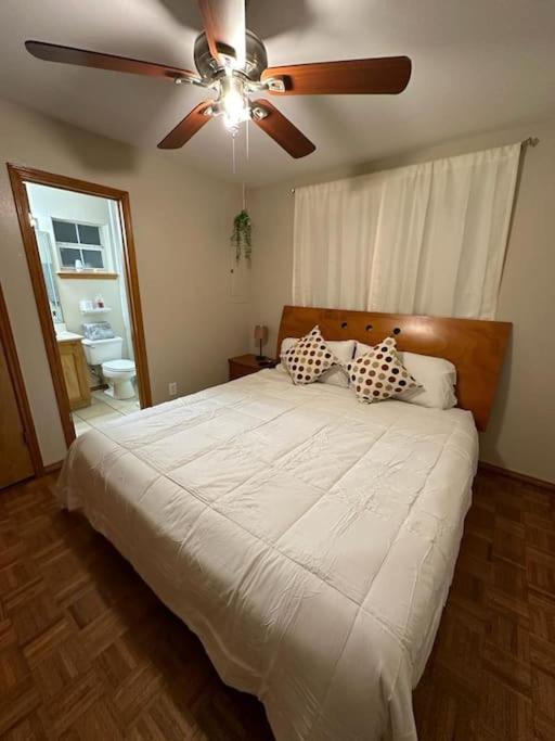 Mcallen 4Br With Pool, Shopping & More Eksteriør billede